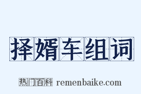 择婿车组词是什么意思的图片